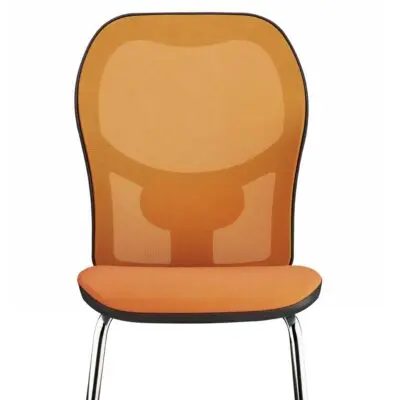 Gruppi di continuità Paxxon 800VA UPS – 2 porte