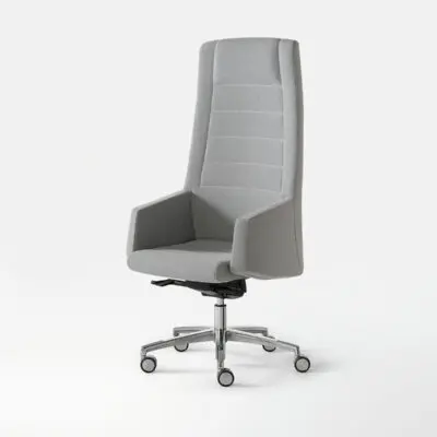 Kamelia in ecopelle seduta direzionale